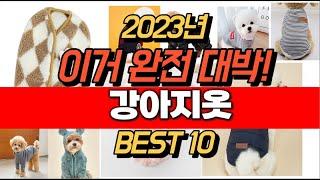 2023년 잘나가는 강아지옷  추천순위 TOP10