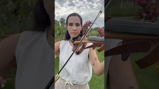 Stargazing by Myles Smith I Violin Cover at Flora Farms  Wedding Ceremony - CaboStrings