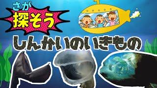 【子供向け 水族館】探検！深海の生き物ずかん　リュウグウノツカイ、フクロウナギ、ダイオウグソクムシ【深海生物】