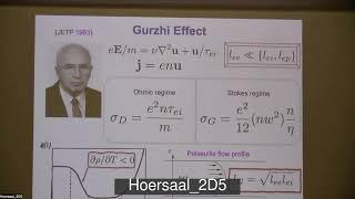 CNQM2022: Alex Levchenko - Thermoelectric anomaly and hydrodynamic paradox in viscous electronics