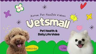 Everything About Your Pet's Health - Vetsmall