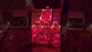 Ayam e Fatmiya Noha 2024 | Zakhmi Hain Fatima (sa) | Bibi Fatima Noha #viral  #imamhussian