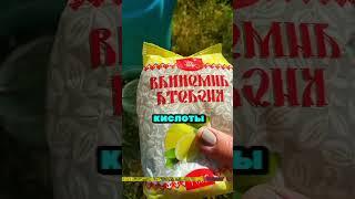 Простой метод избираться от Сорняков #сад #огород #дача #рассада #урожай