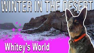 Winter in the Desert - Things to do near Page Arizona - Whitey's World