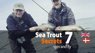 Sea Trout Secrets 7 spin and fly