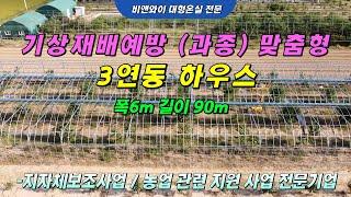 ️기상재배예방 과종(맞춤형) 하우스 1탄▶비앤와이 대형온실전문