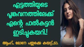 ഏട്ടത്തിയുടെ തേൻകൂട് പൊളിച്ചു ||motivational story||Real life story ||malayalam story