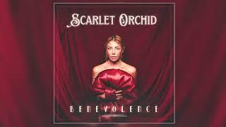 Scarlet Orchid - "Rise Up" (Official Audio)