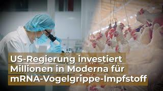 US-Regierung investiert Millionen in Moderna für mRNA-Vogelgrippe-Impfstoff