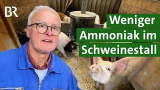 Emissionen reduzieren im Schweinestall: gut für Umweltschutz und Tierwohl | Unser Land | BR