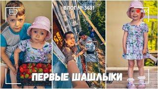 Мы строим дом | Первые шашлыки в этом сезоне!  -  ВЛОГ №3631 - 15.06.25