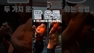 #두가지운동만으로 #왕팔만들기 #여자는탄탄한팔뚝 #armworkout #gymmotivation #gym #dietplan #다이어트 #fatburn #gymrat #성실청년