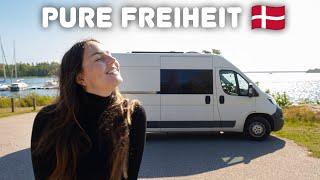 WOW! DIESER STELLPLATZ HAT ALLES VERÄNDERT  (Vanlife Dänemark) | Dänemark Wohnmobil Urlaub