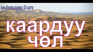 Жаныбарлар  дуйносу. Жапайы жаныбарлар 24 саата. Каардуу чөл.