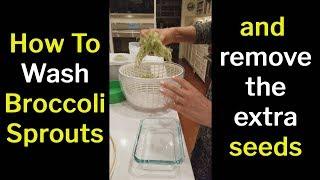 How To Wash Broccoli Sprouts (and remove the extra seeds)