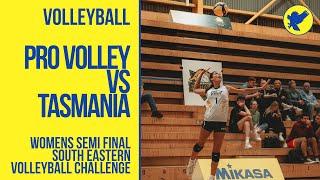 Volleyball | Pro Volley vs Tasmania | Women's Semi Final | South Eastern Volleyball Challenge