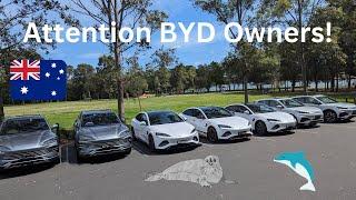 What do BYD owners think about their cars?