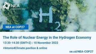 The Role of Nuclear Energy in the Hydrogen Economy