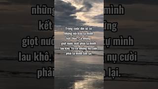 Có những nỗi đau tự mình kết thúc | Vietquotes #nhungcaunoihay #vietquotes