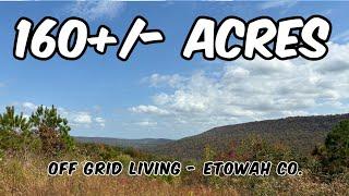 Rock Bridge Lookout - Off Grid - 160 Acres Land For Sale in Alabama