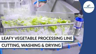 Salad Processing Line