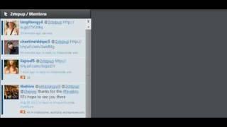 nichewebvideo marketing integrity