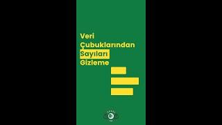 Excel'de Veri Çubuklarından Sayıları Gizleme | Excel 751 | #shorts