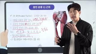 슬개대퇴통증증후군 1주차 운동시퀀스(이론 포함)_무릎통증_재활