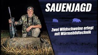 Sauenjagd bei Nacht: Präzise Wildschweinabschüsse mit Wärmebildtechnik | JAGD TOTAL