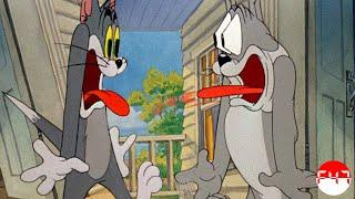 Tom & Jerry VS System of a Down pt.5 (by Freeman-47)