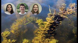 Catskill Science Collaborative Research Updates: Freshwater Invasives & Forest Regeneration