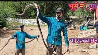 🪱 भूसे में छुपा बेटा था एक धामन सांप कैसे  क्या रेस्क्यू किया | snake rescue | dk panchal | animal