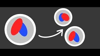 Mitosis (Cell DNA Cloning) - Simplified Animation | GCSE Science