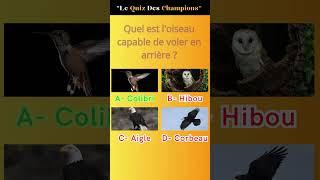 Le Quiz des Champions : "trouvez la bonne réponse?"