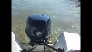 Rybitwa + Evinrude 115