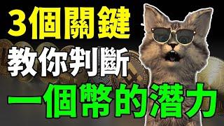 ３個關鍵判斷一檔山寨幣是否有潛力！第二項最重要