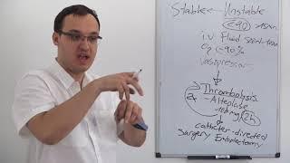 Pulmonary Embolism : Treatment