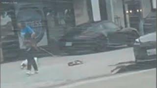 Orange County animal rescue worker drags dog by leash down sidewalk