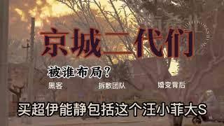 北京二代，大S买超伊能静，阴谋背后有专业拆散团队运作？