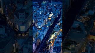 Tokyo – The Most Populated City in the World! 