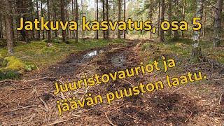 Jatkuva kasvatus, ajovauriot ja jäävä puusto, osa 5. | Continuous cover silviculture, part 5