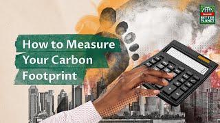 How to Calculate Your Carbon Footprint