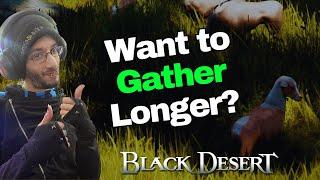 Teddy Twighlite's Tips to Keep Gathering Longer in Black Desert Online