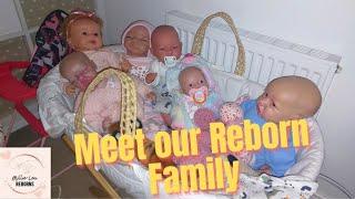 Meet our Reborn baby dolls / Reborn baby doll Role Play