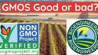 GMOS? Vs NON GMOS