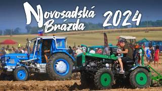 TRACTOR PLOWING SHOW | Novosadská Brázda 2024