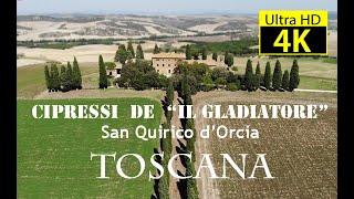 CIPRESSI DE "IL GLADIATORE" 4K - DRONE - TOSCANA 2020 - Silvia Ferroni