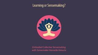 What is  "Sensemaking or Learning"?