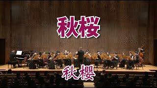 《秋桜》：さだまさし 曲｜原唱：山口百惠｜Taiwan Mandolin Ensemble｜那些年 阿公阿嬤的回憶