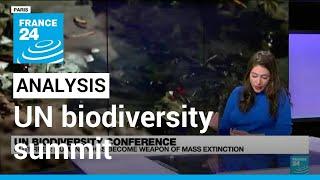 COP15 biodiversity summit : What to expect ? • FRANCE 24 English